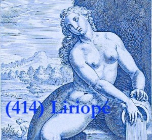 Liriopé la nymphe bleue