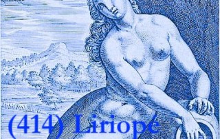 Liriopé la nymphe bleue